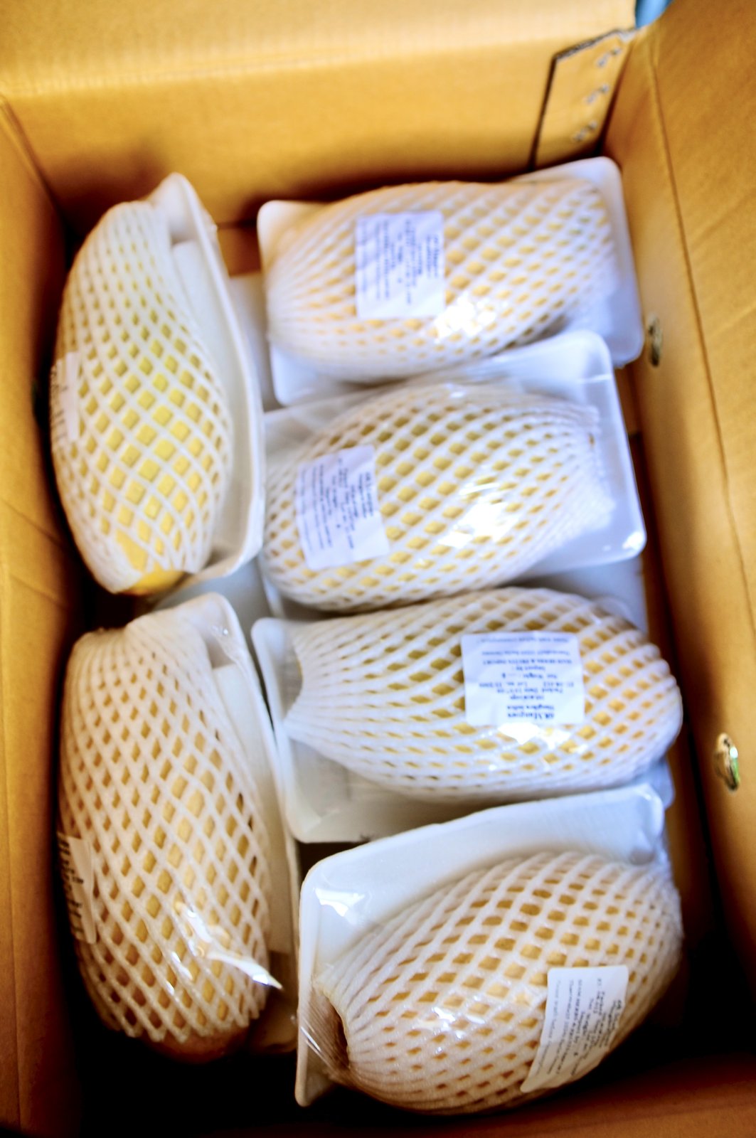 Import von frischem Thai-Gemüse